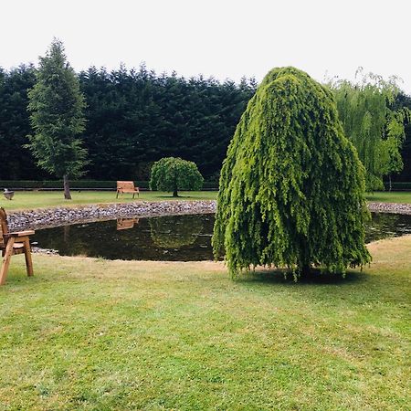 Castledale Bed and Breakfast Sligo Eksteriør billede