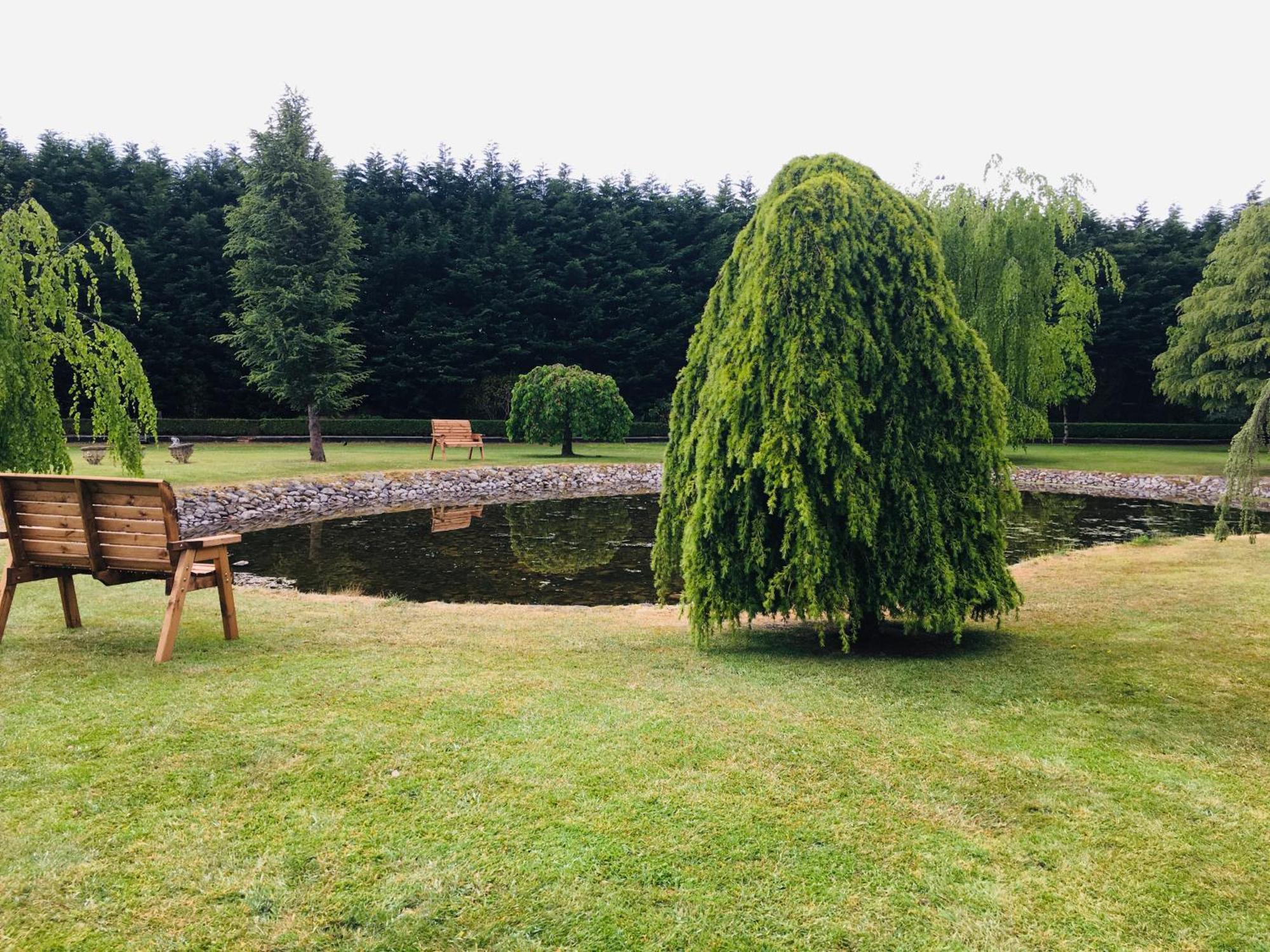 Castledale Bed and Breakfast Sligo Eksteriør billede