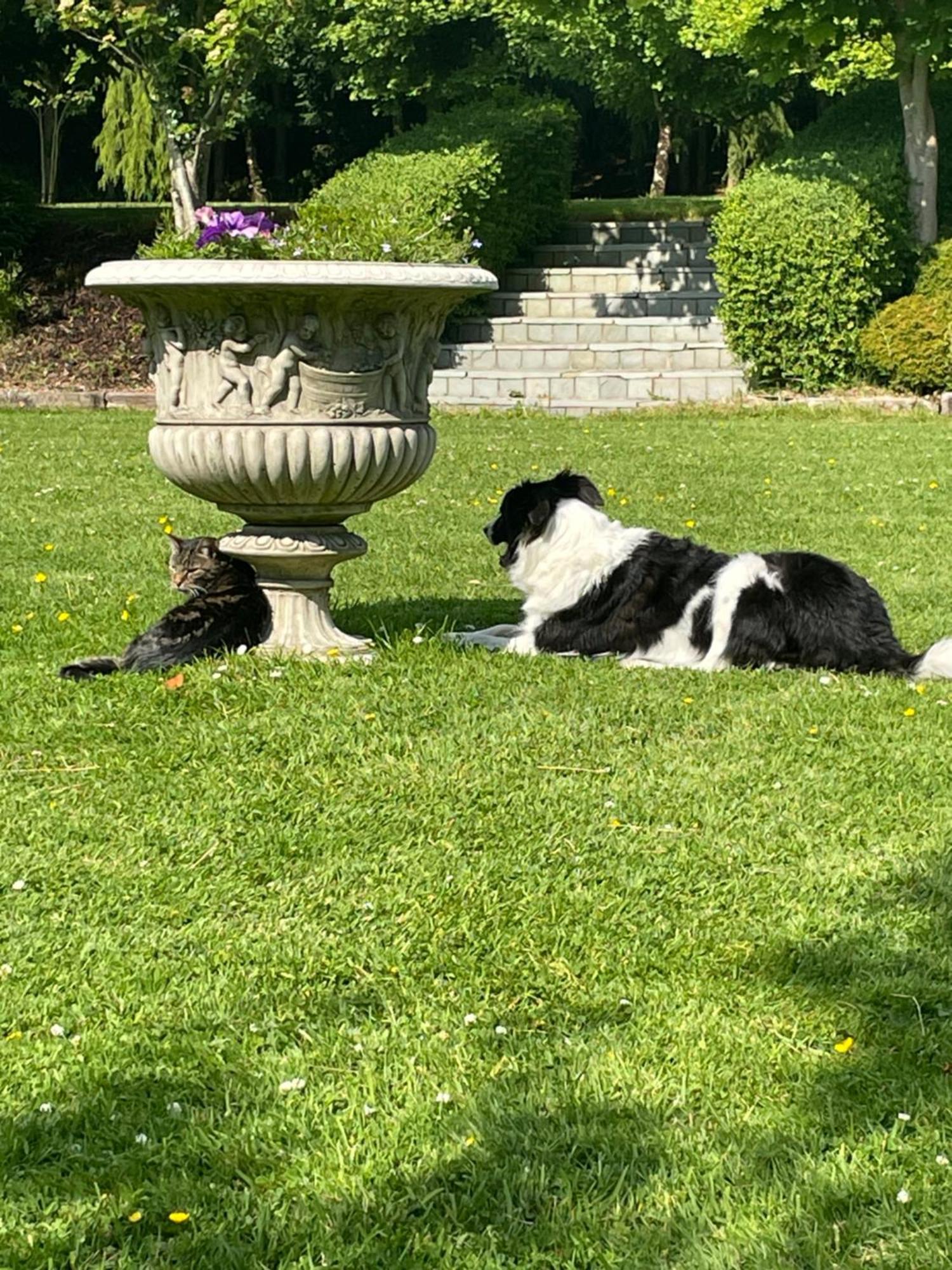 Castledale Bed and Breakfast Sligo Eksteriør billede